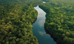 Environment