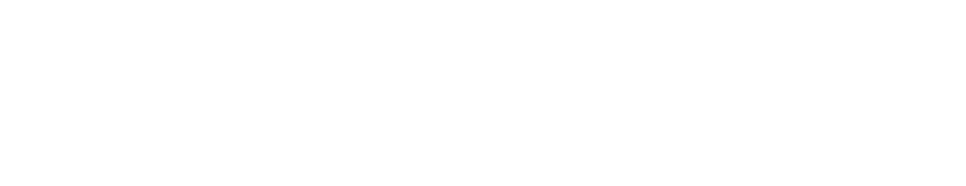 Hugo & Borg